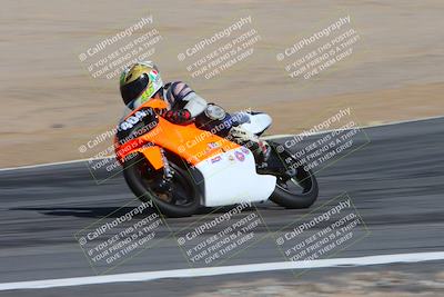 media/Feb-04-2024-SoCal Trackdays (Sun) [[91d6515b1d]]/4-Bowl Backside (11am)/